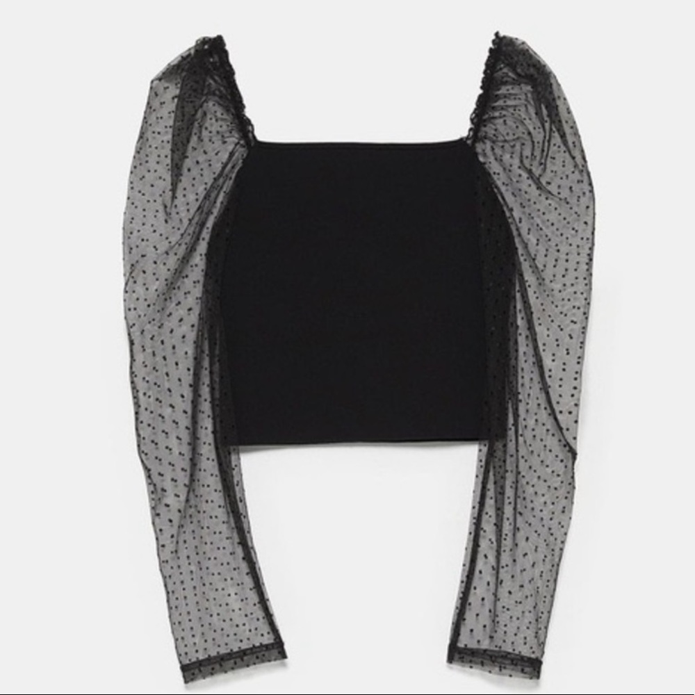 Zara knit top with mesh dotted sleeves